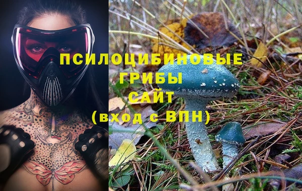 герыч Переславль-Залесский