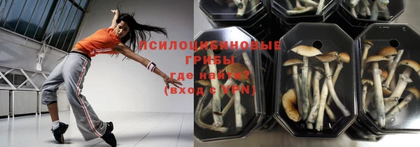 apvp Остров