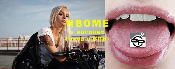 шишки Пестово