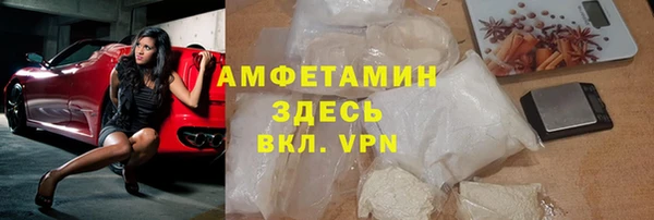 шишки Пестово