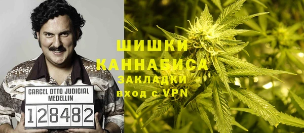 гидра Осинники