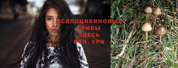 шишки Пестово