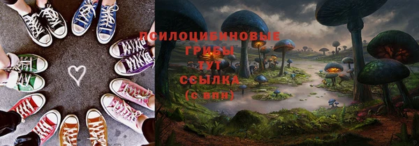 гидра Осинники