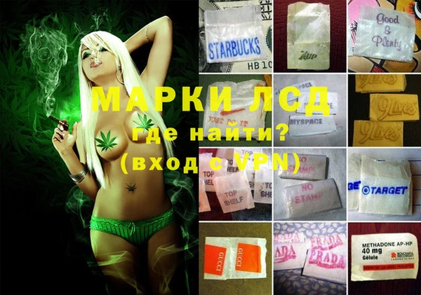 гидра Осинники