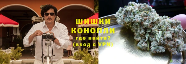 шишки Пестово