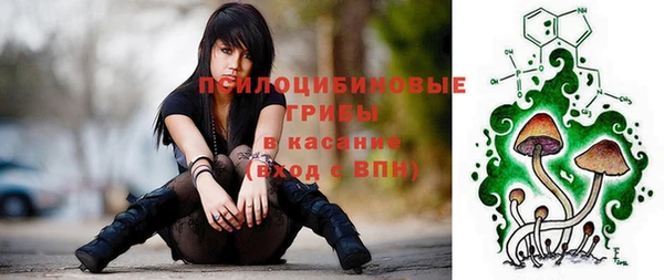 герыч Переславль-Залесский
