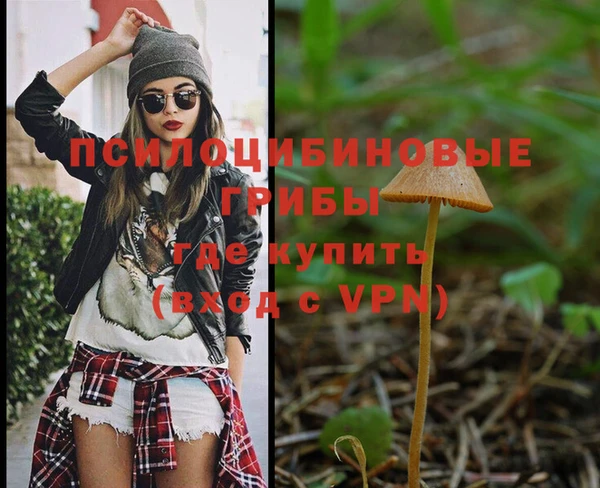 прущая мука Пересвет